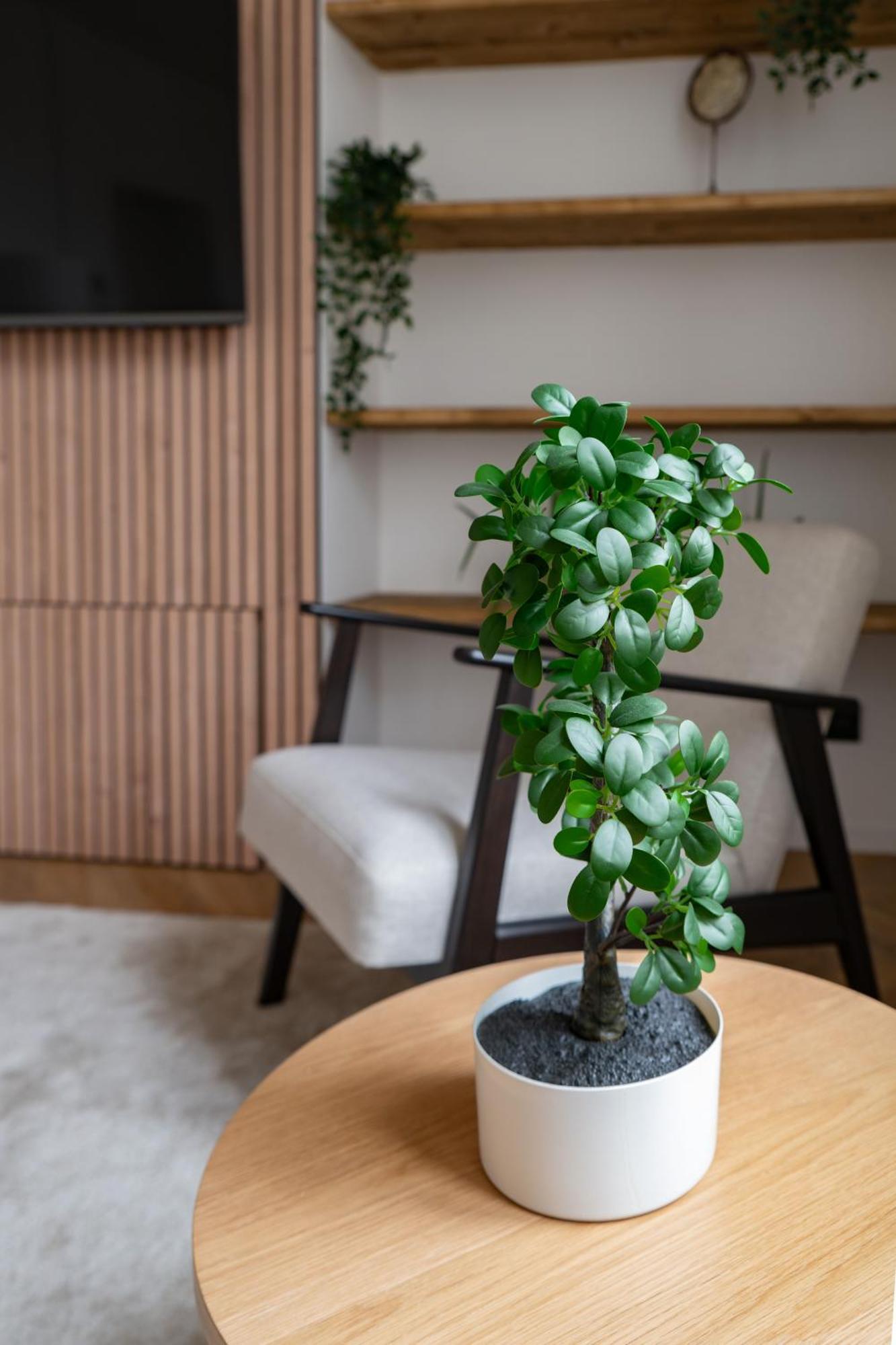 Residence Jaures - Appartements Design Et Climatises En Centre Ville 비시 외부 사진